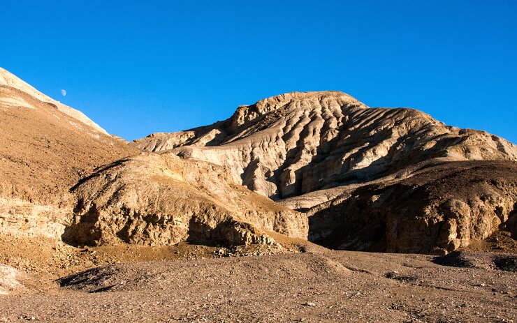 _MG_9456